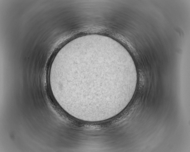X0000111350582200908211236