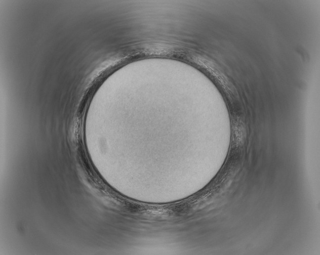 X0000111350583200908211236