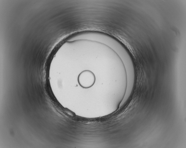 X0000111350584200908211236