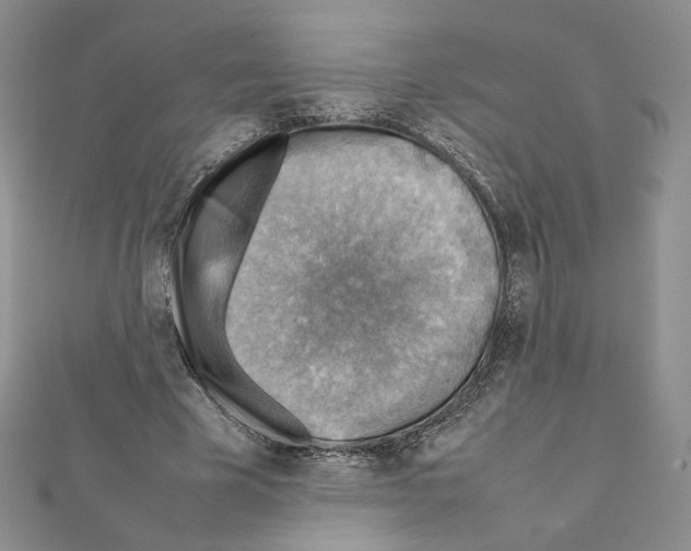 X0000111350585200908211236