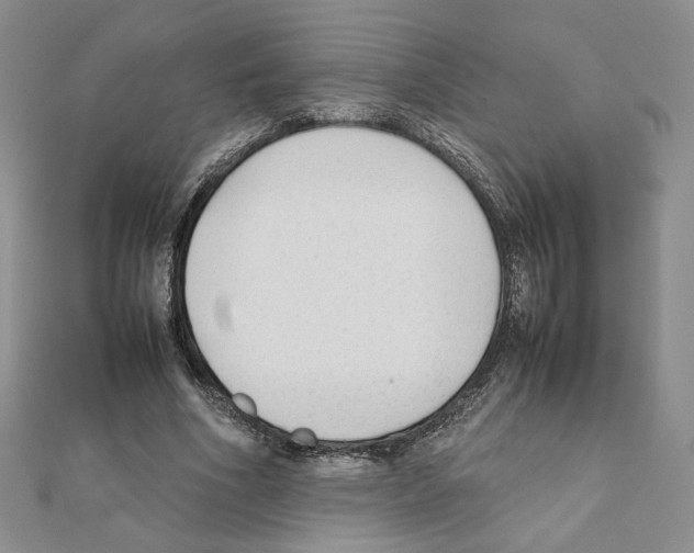 X0000111350586200908211236