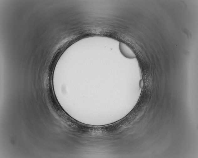 X0000111350587200908211236
