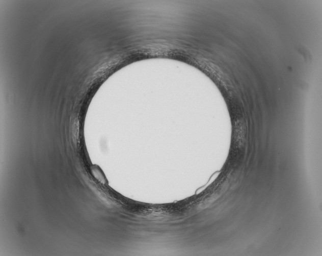 X0000111350589200908211236