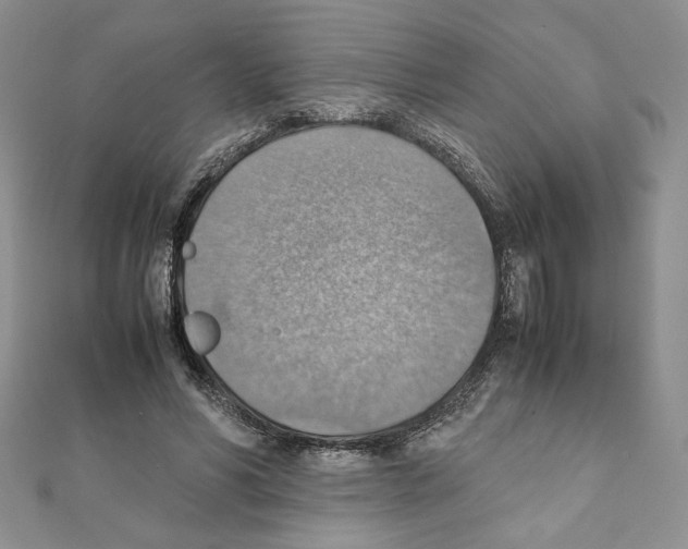 X0000111350590200908211236