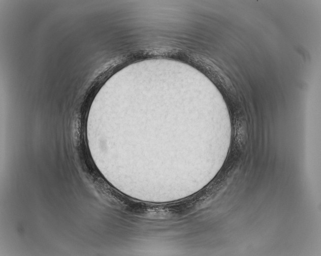 X0000111350591200908211236