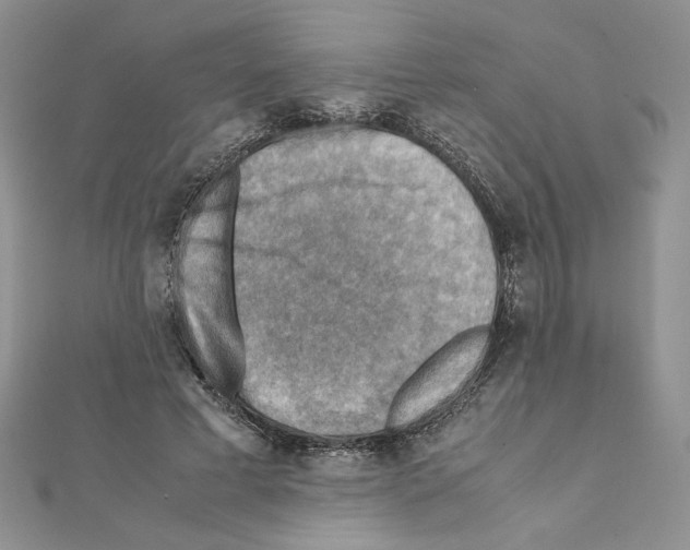 X0000111350593200908211236