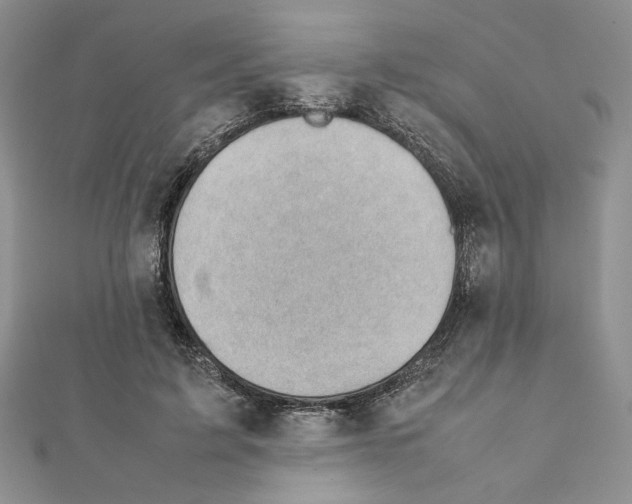 X0000111350595200908211236