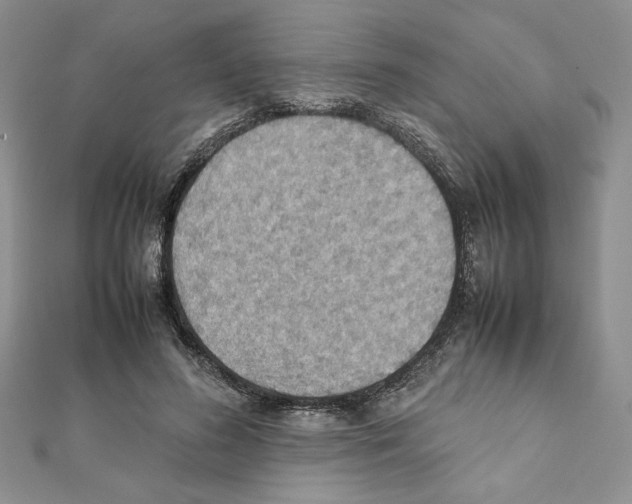 X0000111350596200908211236