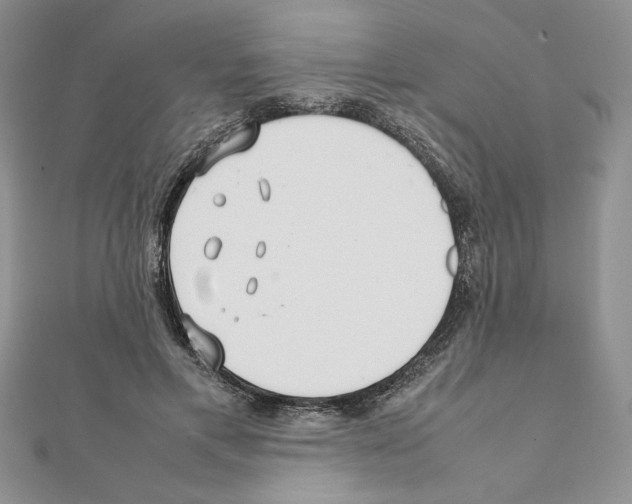 X0000111350597200908211236