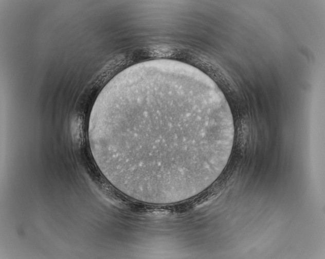 X0000111350598200908211236