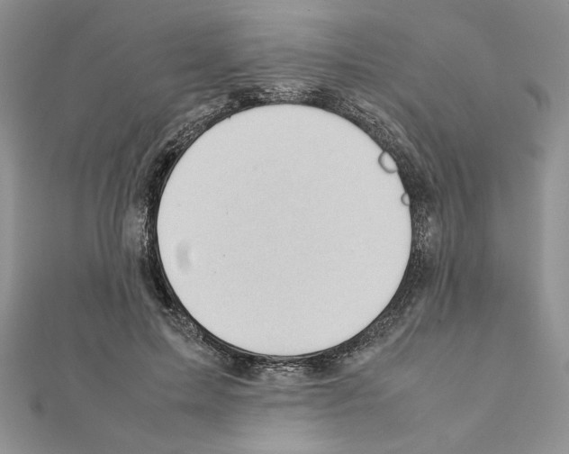 X0000111350599200908211236