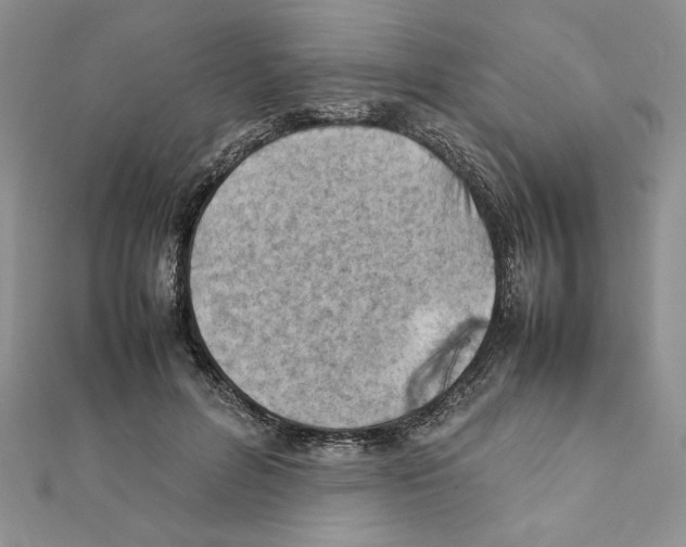 X0000111350600200908211236
