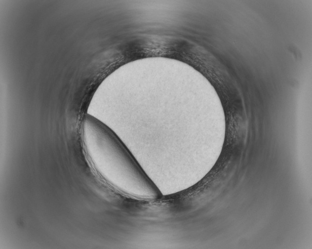 X0000111350601200908211236