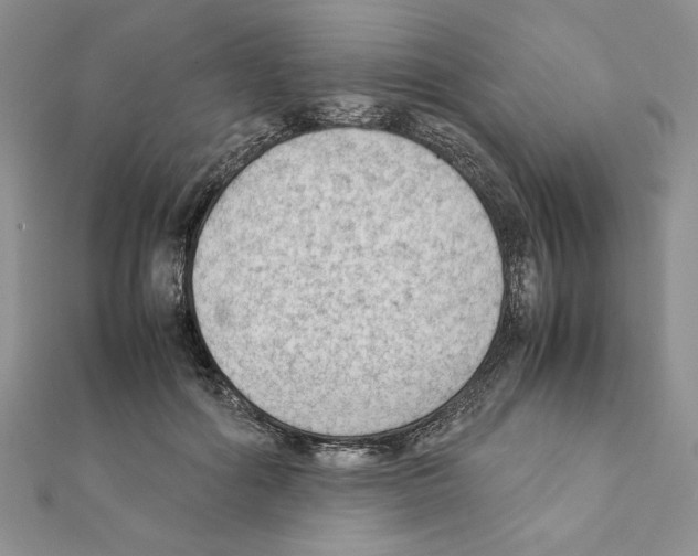 X0000111350602200908211236