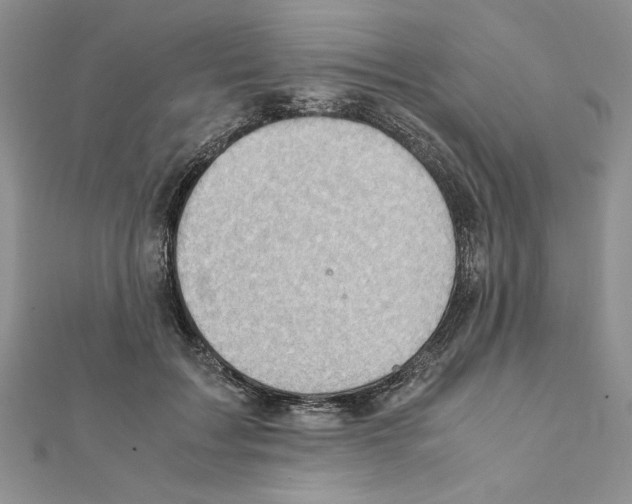 X0000111350603200908211236