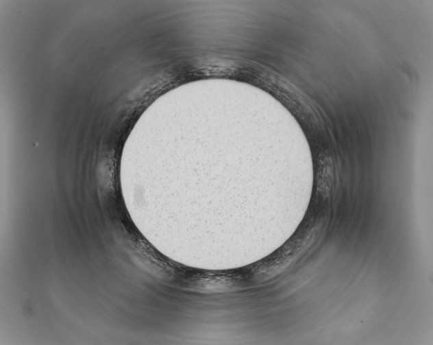X0000111350604200908211236
