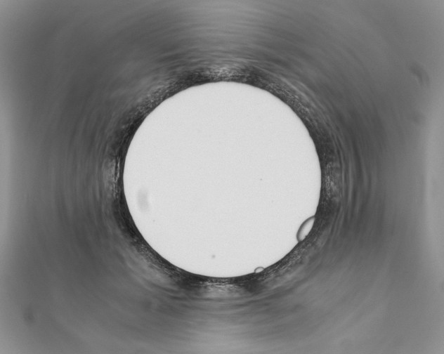X0000111350605200908211236