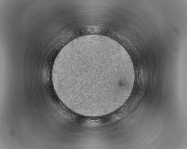 X0000111350606200908211236