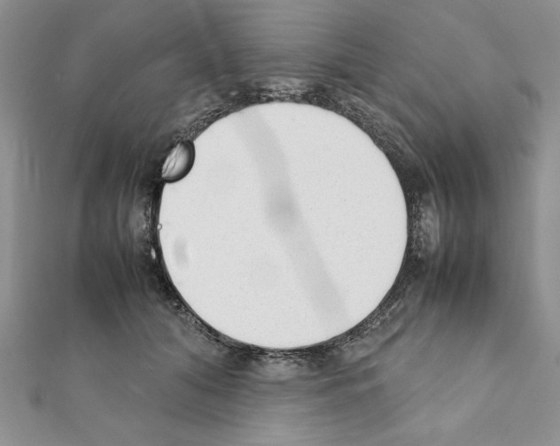 X0000111350608200908211236