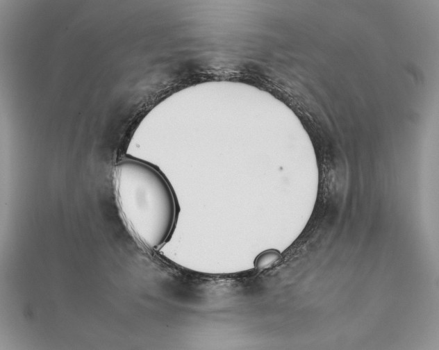 X0000111350609200908211236