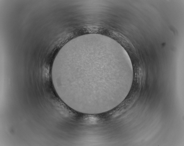 X0000111350610200908211236