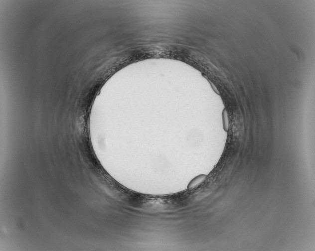 X0000111350611200908211236