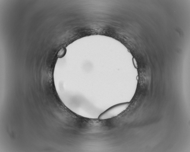 X0000111350613200908211236
