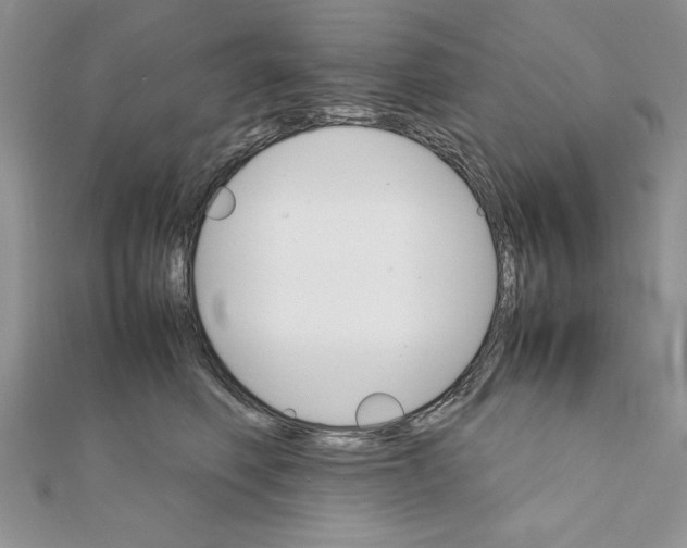 X0000111350614200908211236