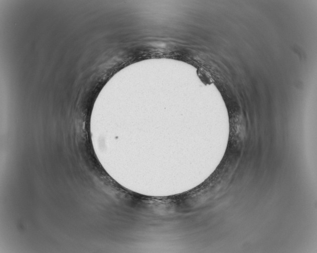 X0000111350615200908211236