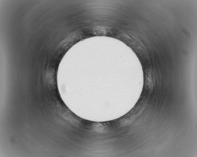 X0000111350616200908211236