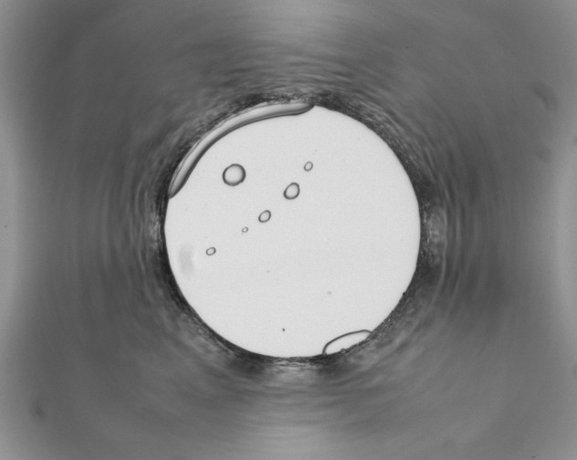 X0000111350617200908211236