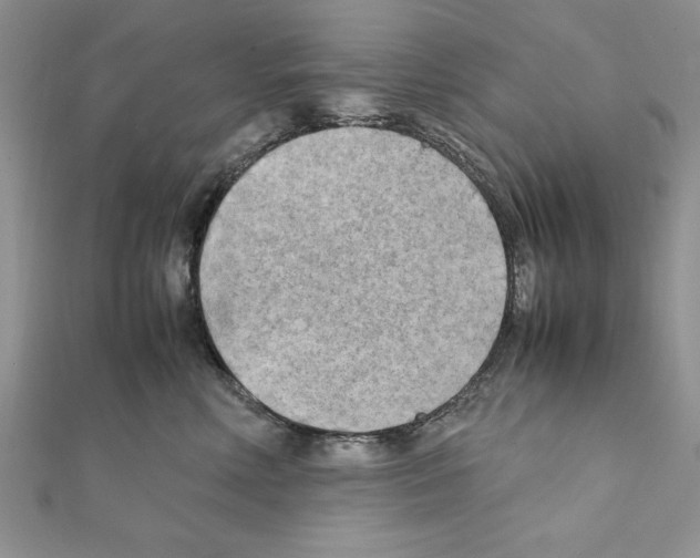 X0000111350618200908211236
