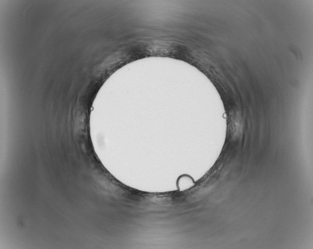 X0000111350619200908211236