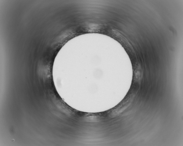 X0000111350620200908211236