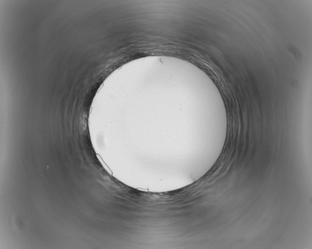 X0000111350621200908211236