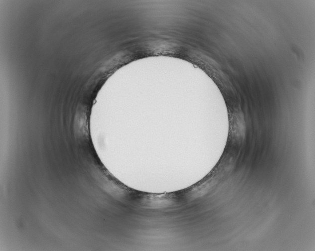 X0000111350622200908211236