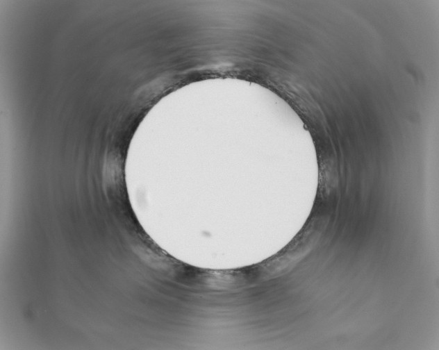 X0000111350623200908211236