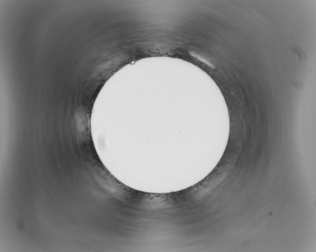 X0000111350624200908211236