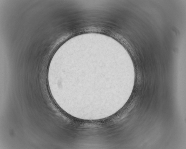 X0000111350625200908211235