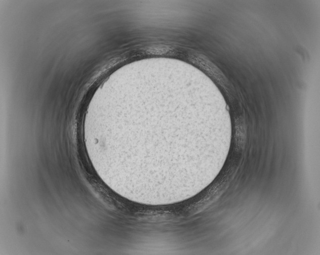 X0000111350626200908211235