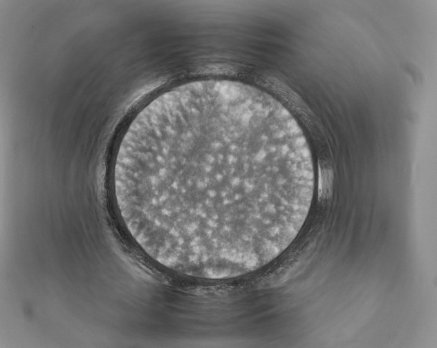 X0000111350627200908211235