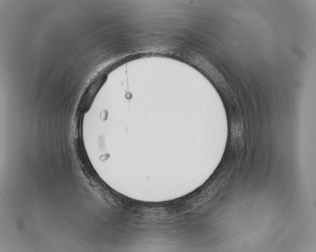 X0000111350628200908211235