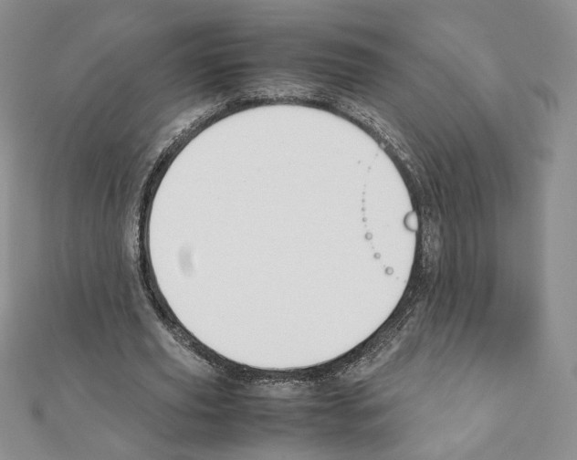 X0000111350629200908211235