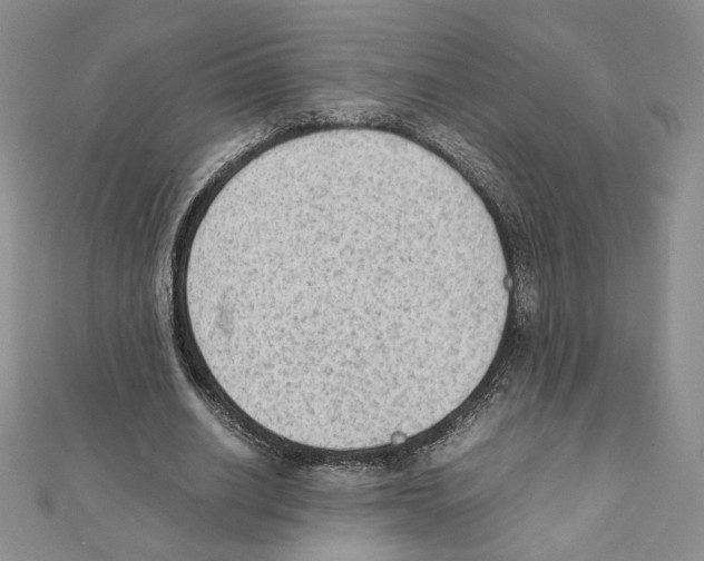 X0000111350630200908211235