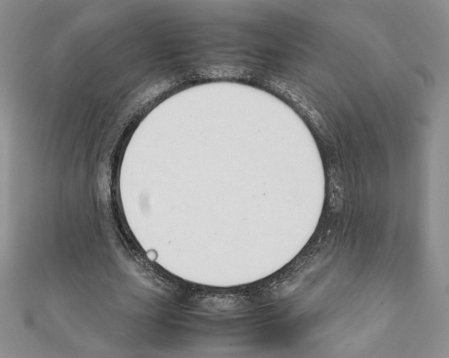 X0000111350631200908211235