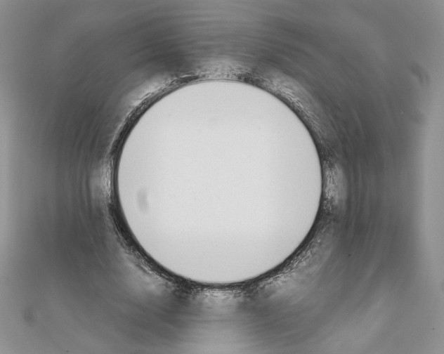 X0000111350632200908211235