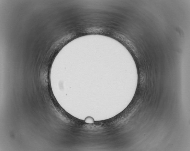 X0000111350633200908211235