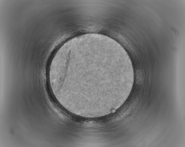 X0000111350634200908211235