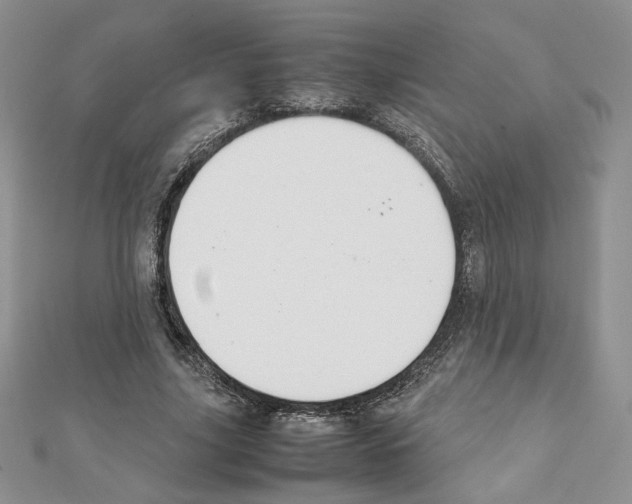 X0000111350635200908211235