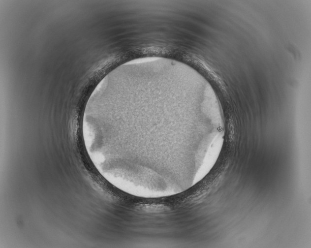 X0000111350637200908211235